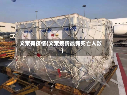 文莱有疫情(文莱疫情最新死亡人数)-第2张图片