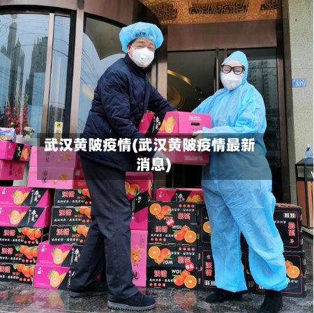 武汉黄陂疫情(武汉黄陂疫情最新消息)-第1张图片