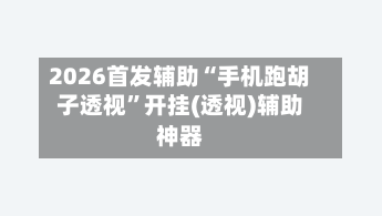 2026首发辅助“手机跑胡子透视”开挂(透视)辅助神器-第2张图片