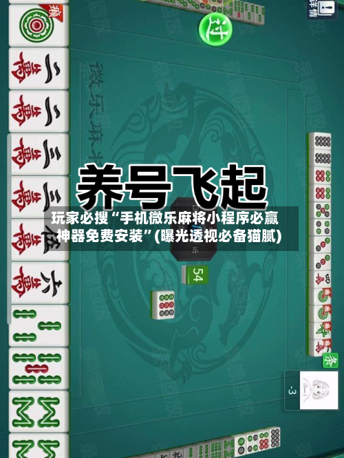 玩家必搜“手机微乐麻将小程序必赢神器免费安装”(曝光透视必备猫腻)-第2张图片