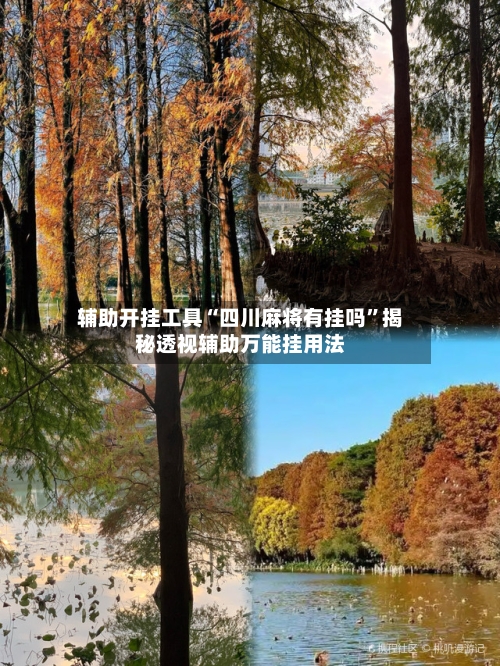 辅助开挂工具“四川麻将有挂吗”揭秘透视辅助万能挂用法-第1张图片