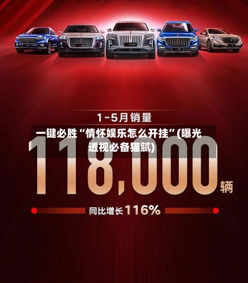 一键必胜“情怀娱乐怎么开挂”(曝光透视必备猫腻)-第2张图片