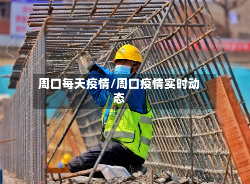 周口每天疫情/周口疫情实时动态-第1张图片