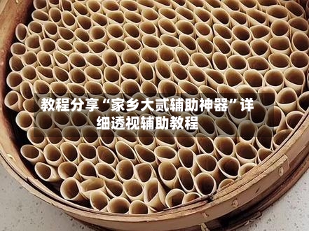 教程分享“家乡大贰辅助神器	”详细透视辅助教程-第2张图片