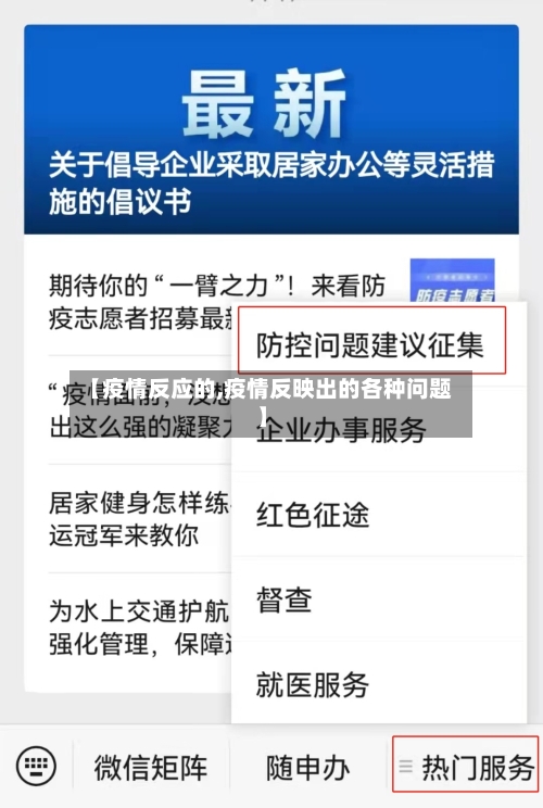 【疫情反应的,疫情反映出的各种问题】-第3张图片