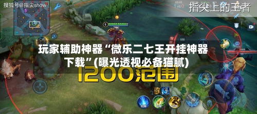 玩家辅助神器“微乐二七王开挂神器下载”(曝光透视必备猫腻)-第1张图片