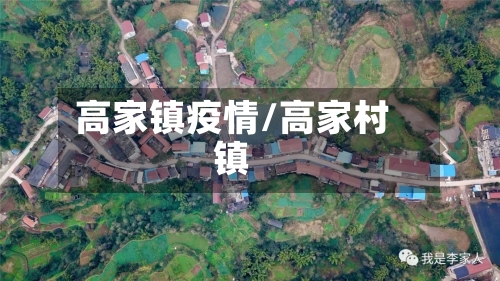 高家镇疫情/高家村镇-第2张图片