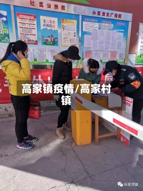 高家镇疫情/高家村镇-第3张图片