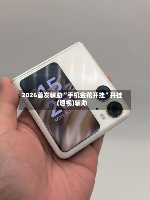 2026首发辅助“手机金花开挂	”开挂(透视)辅助-第2张图片