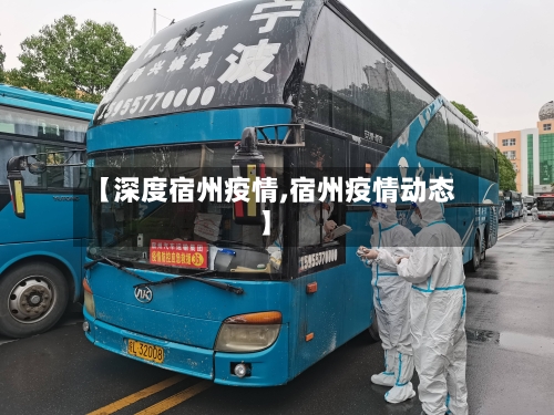 【深度宿州疫情,宿州疫情动态】-第2张图片