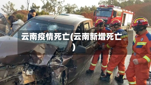 云南疫情死亡(云南新增死亡)-第1张图片