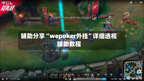 辅助分享“wepoker外挂	”详细透视辅助教程-第2张图片