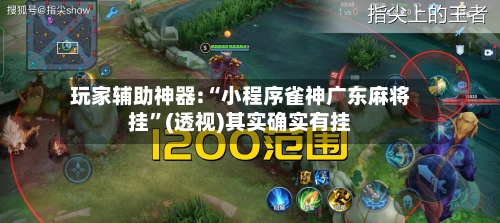 玩家辅助神器:“小程序雀神广东麻将挂”(透视)其实确实有挂-第2张图片