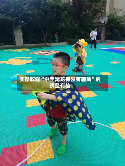 实操教程“中至窝龙有没有辅助”的确是有挂-第3张图片