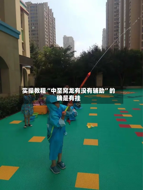 实操教程“中至窝龙有没有辅助”的确是有挂-第2张图片