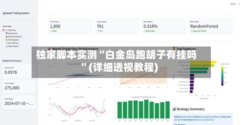 独家脚本实测“白金岛跑胡子有挂吗”(详细透视教程)-第1张图片