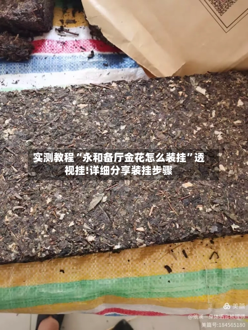 实测教程“永和备厅金花怎么装挂	”透视挂!详细分享装挂步骤-第2张图片