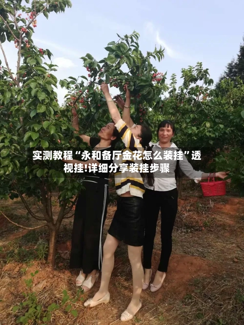 实测教程“永和备厅金花怎么装挂”透视挂!详细分享装挂步骤-第3张图片