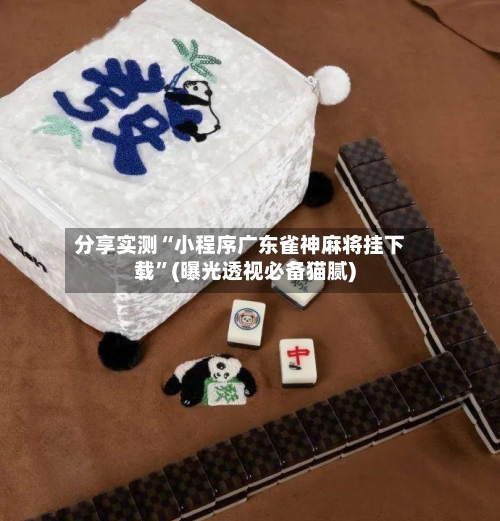 分享实测“小程序广东雀神麻将挂下载”(曝光透视必备猫腻)-第3张图片