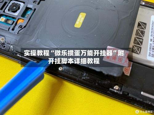 实操教程“微乐掼蛋万能开挂器”附开挂脚本详细教程-第1张图片