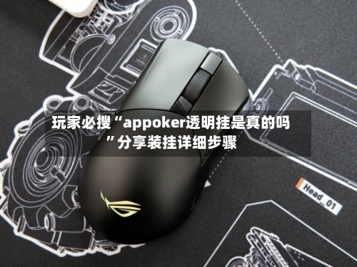 玩家必搜“appoker透明挂是真的吗”分享装挂详细步骤-第2张图片