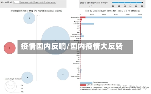 疫情国内反响/国内疫情大反转-第1张图片