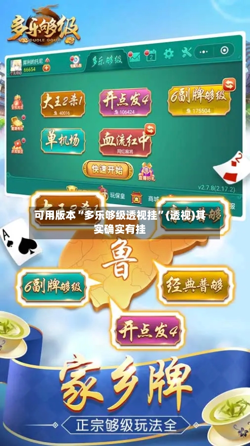 可用版本“多乐够级透视挂”(透视)其实确实有挂-第2张图片