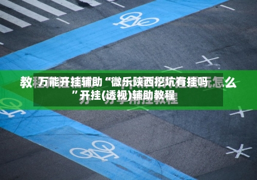 万能开挂辅助“微乐陕西挖坑有挂吗	”开挂(透视)辅助教程-第2张图片