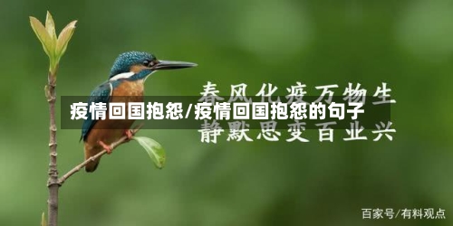 疫情回国抱怨/疫情回国抱怨的句子-第3张图片