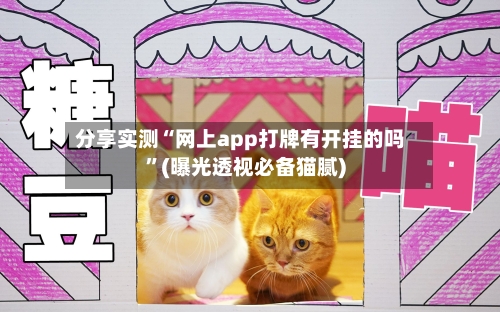 分享实测“网上app打牌有开挂的吗	”(曝光透视必备猫腻)-第1张图片