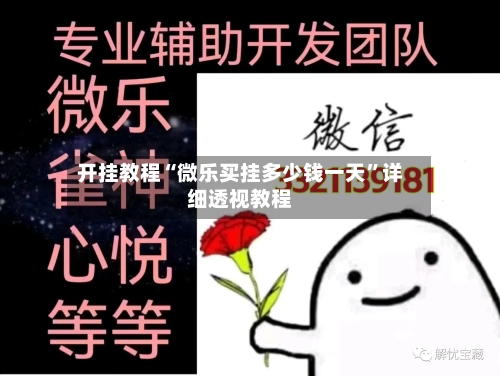 开挂教程“微乐买挂多少钱一天”详细透视教程-第2张图片