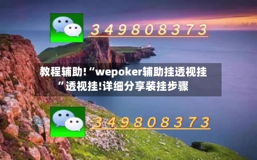 教程辅助!“wepoker辅助挂透视挂”透视挂!详细分享装挂步骤-第3张图片