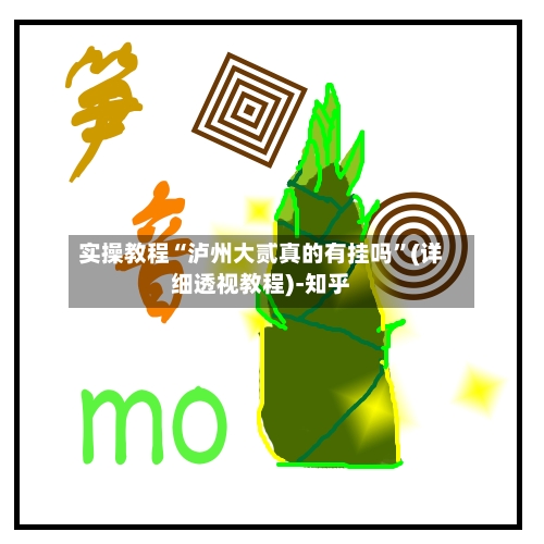 实操教程“泸州大贰真的有挂吗”(详细透视教程)-知乎-第1张图片