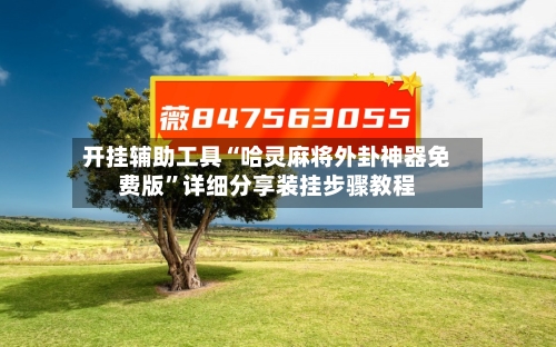 开挂辅助工具“哈灵麻将外卦神器免费版”详细分享装挂步骤教程-第2张图片