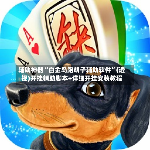 辅助神器“白金岛跑胡子辅助软件”(透视)开挂辅助脚本+详细开挂安装教程-第3张图片