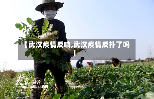 【武汉疫情反响,武汉疫情反扑了吗】-第3张图片
