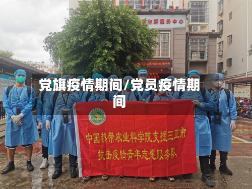 党旗疫情期间/党员疫情期间-第2张图片