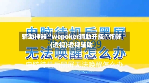 辅助神器“wepoker辅助开挂”作弊(透视)透视辅助-第3张图片