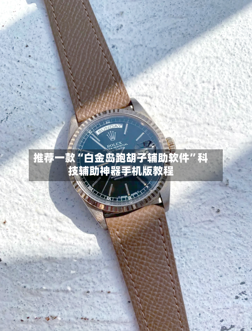 推荐一款“白金岛跑胡子辅助软件”科技辅助神器手机版教程-第3张图片