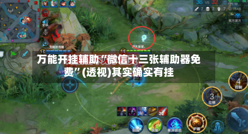 万能开挂辅助“微信十三张辅助器免费”(透视)其实确实有挂-第3张图片