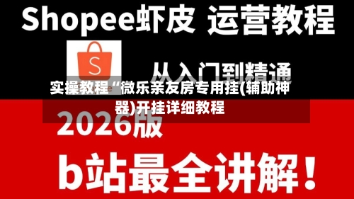 实操教程“微乐亲友房专用挂(辅助神器)开挂详细教程-第3张图片