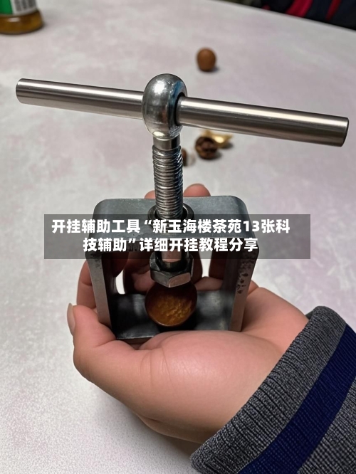 开挂辅助工具“新玉海楼茶苑13张科技辅助	”详细开挂教程分享-第2张图片