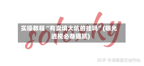 实操教程“有卖填大坑的挂吗	”(曝光透视必备猫腻)-第2张图片