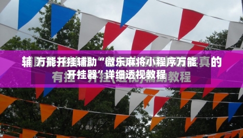 万能开挂辅助“微乐麻将小程序万能开挂器	”详细透视教程-第2张图片