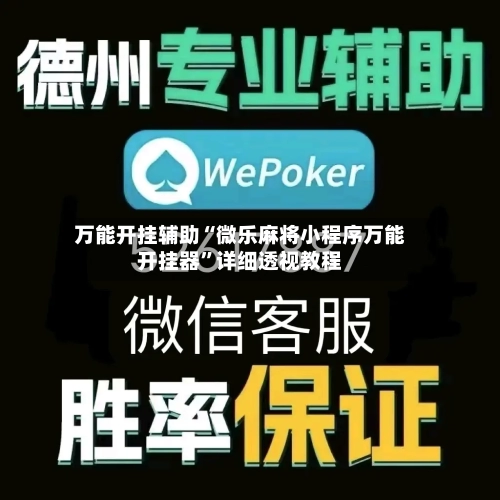 万能开挂辅助“微乐麻将小程序万能开挂器”详细透视教程-第1张图片