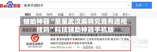 辅助神器“星星武汉麻将究竟有透视挂吗”科技辅助神器手机版-第2张图片