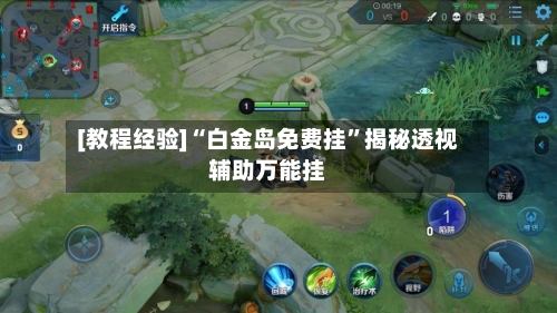 [教程经验]“白金岛免费挂”揭秘透视辅助万能挂-第1张图片