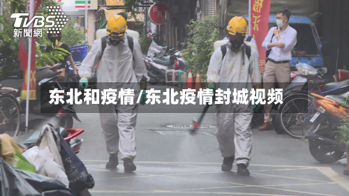 东北和疫情/东北疫情封城视频-第2张图片