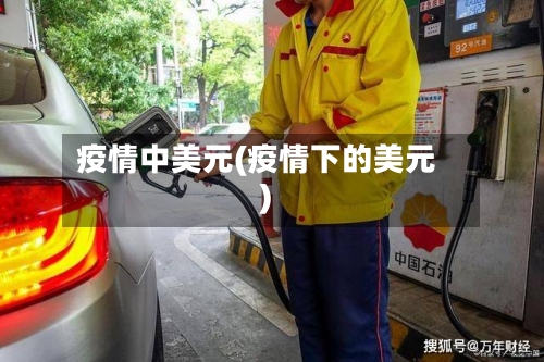 疫情中美元(疫情下的美元)-第1张图片