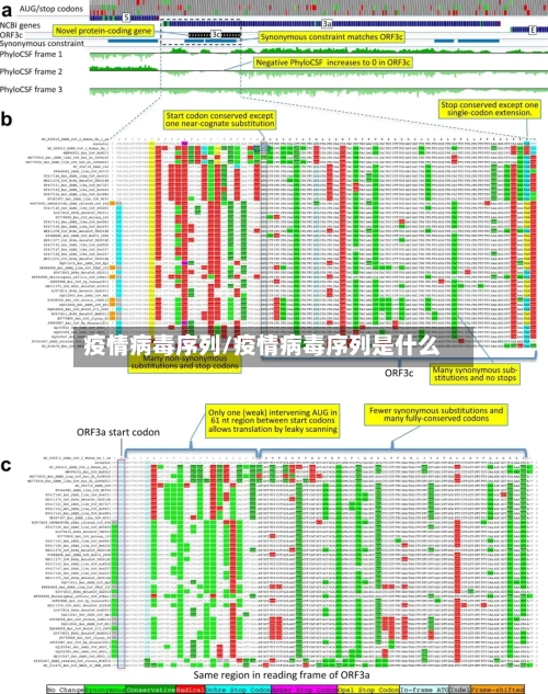 疫情病毒序列/疫情病毒序列是什么-第2张图片